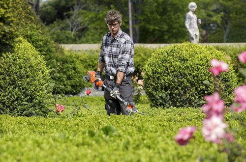 entretien-jardin