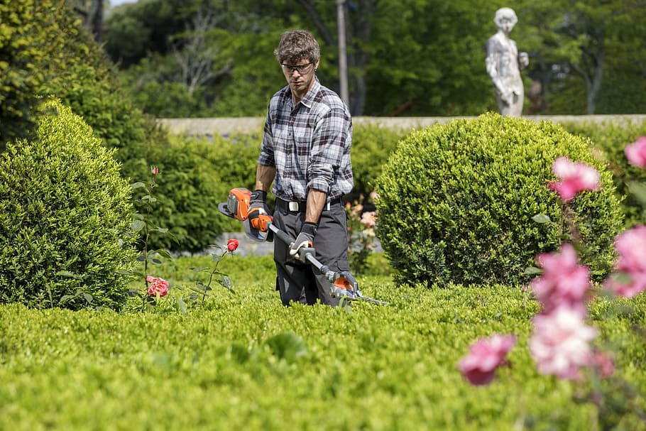 entretien-jardin